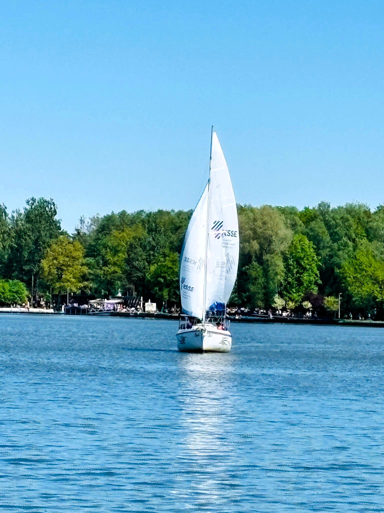 Skipper 4